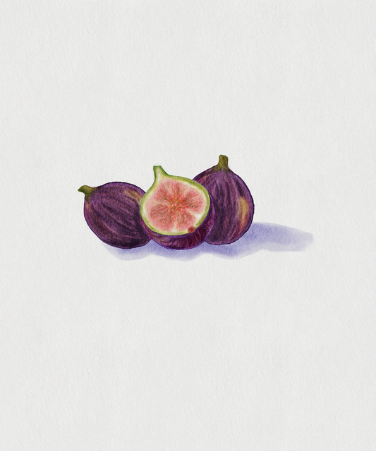 Figs Print