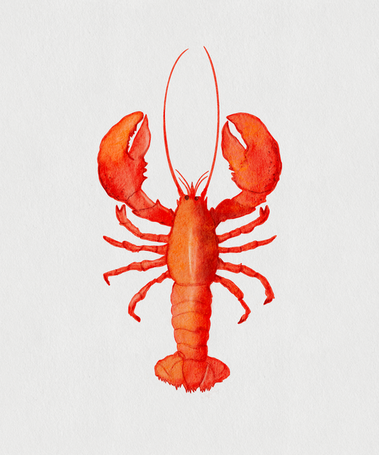 Lobster Print