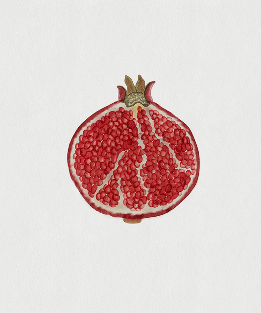 Pomegranate Print